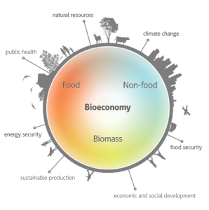 Bioeconomy figure; food, biomass, public health, energy security, sustainable production, economic and social development