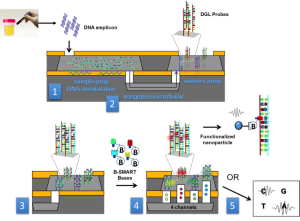 Early detection of colorrectal cancer by liquid biopsy