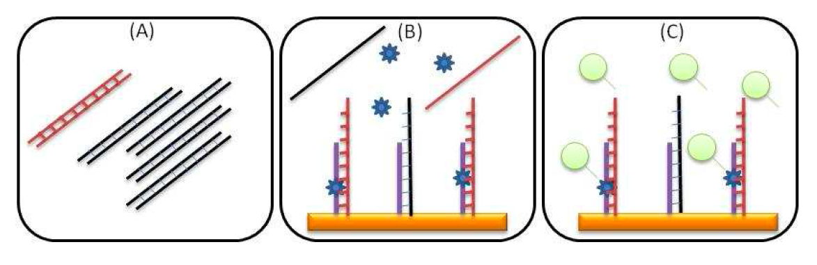 Liquid Biopsy detection protocol