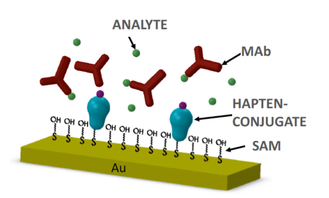 Biosensor