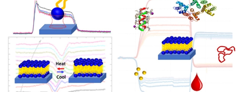 QCMD in Lipid Research