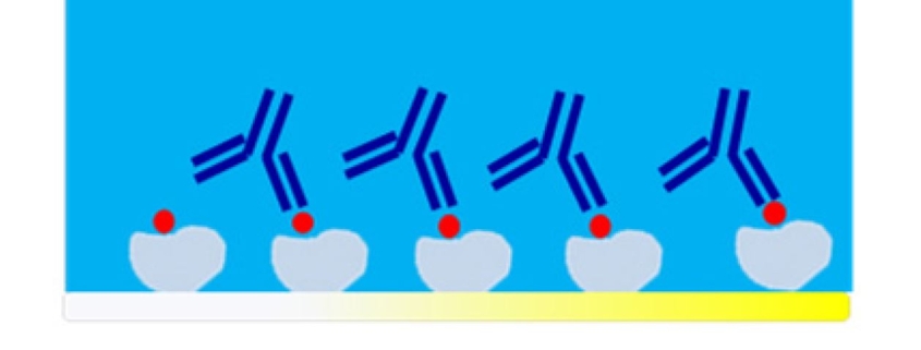 QCMD Immunosensor