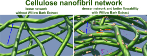 Cellulose nanofibrils (CNFs) are increasingly used as precursors for foams, films and composites, where water interactions are of great importance. In this study, we used willow bark extract (WBE), an underrated natural source of bioactive phenolic compounds, as a plant-based modifier for CNF hydrogels, without compromising their mechanical properties. We found that the introduction of WBE into both native, mechanically fibrillated CNFs and TEMPO-oxidized CNFs increased considerably the storage modulus of the hydrogels and reduced their swelling ratio in water up to 5–7 times. A detailed chemical analysis revealed that WBE is composed of several phenolic compounds in addition to potassium salts. Whereas the salt ions reduced the repulsion between fibrils and created denser CNF networks, the phenolic compounds - which adsorbed readily on the cellulose surfaces - played an important role in assisting the flowability of the hydrogels at high shear strains by reducing the flocculation tendency, often observed in pure and salt-containing CNFs, and contributed to the structural integrity of the CNF network in aqueous environment. Surprisingly, the willow bark extract exhibited hemolysis activity, which highlights the importance of more thorough investigations of biocompatibility of natural materials. WBE shows great potential for managing the water interactions of CNF-based products.