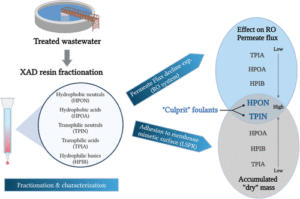Fouling of Reverse Osmosis Membrane with Effluent Organic Matter: Componential Role of Hydrophobicity